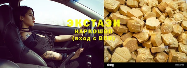 индика Балахна