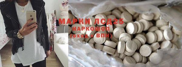 ГАЛЛЮЦИНОГЕННЫЕ ГРИБЫ Аркадак