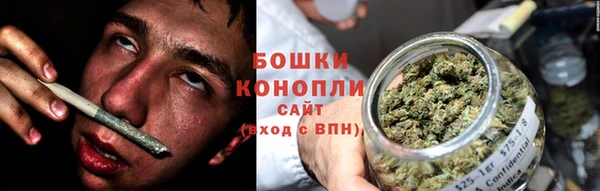 амф Арсеньев