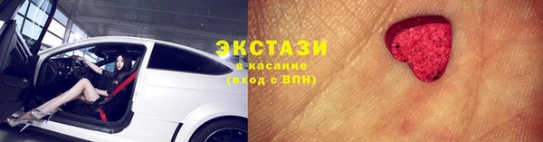 ГАЛЛЮЦИНОГЕННЫЕ ГРИБЫ Аркадак