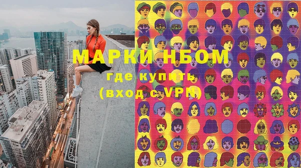 индика Балахна