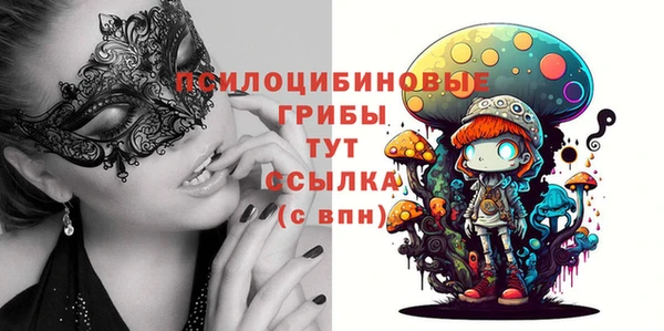 ГАЛЛЮЦИНОГЕННЫЕ ГРИБЫ Аркадак