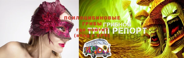 индика Балахна