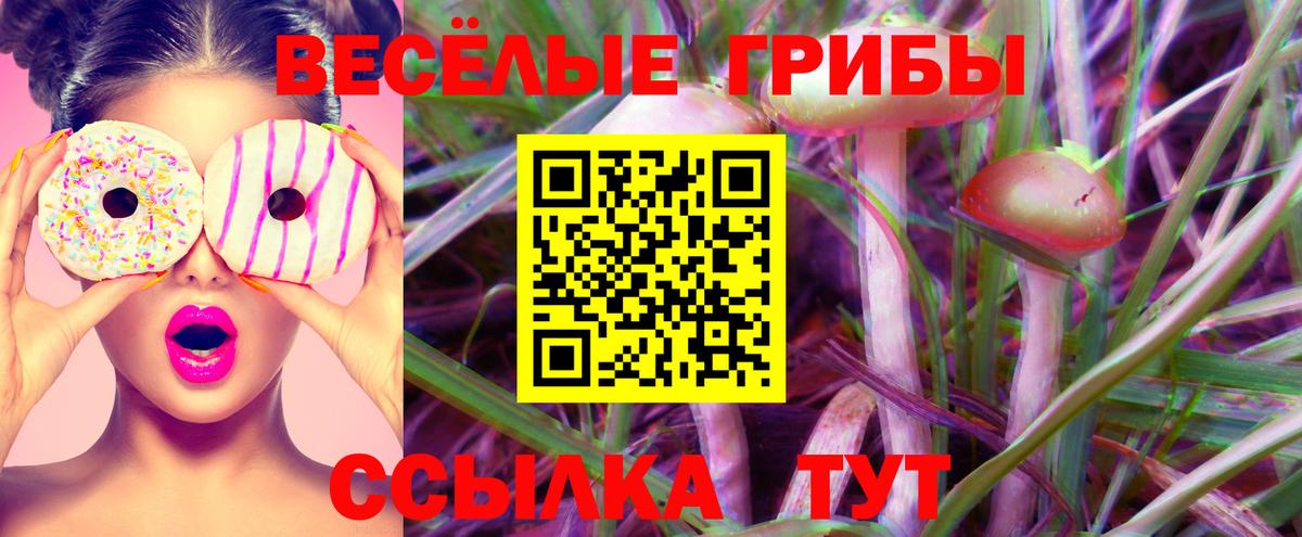 Новодвинск  Псилоцибиновые грибы Psilocybine cubensis  где найти наркотики  Вход с VPN 